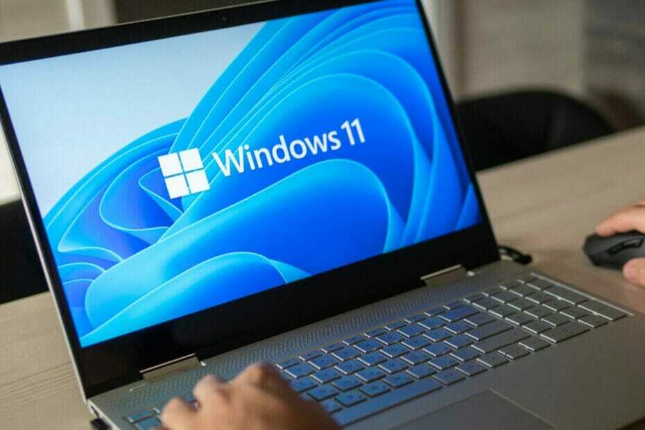 Нова актуализация: Windows 11 вече е достъпна за повече компютри