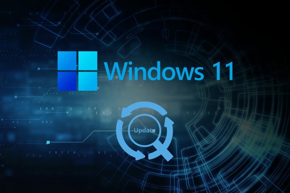 دليل كامل حول كيفية تنزيل Windows 11