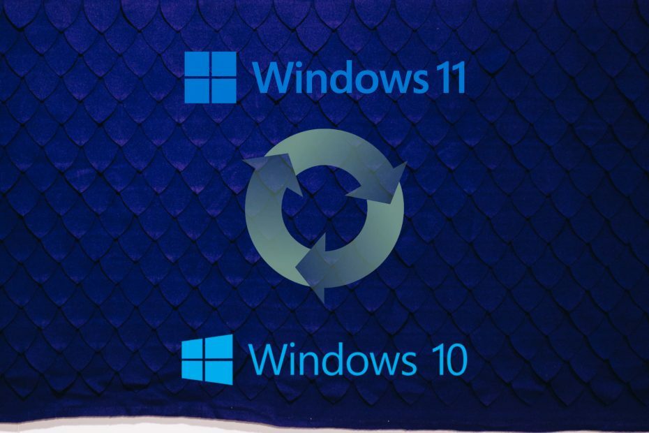 Gumb za povratak ne radi u sustavu Windows 11? Zaobiđite ga u 6 koraka