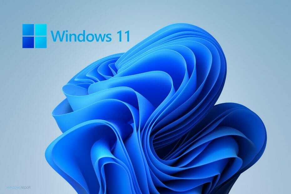 يقوم Windows 11 بإزالة Cortana و Skype وأداة Snipping والمزيد