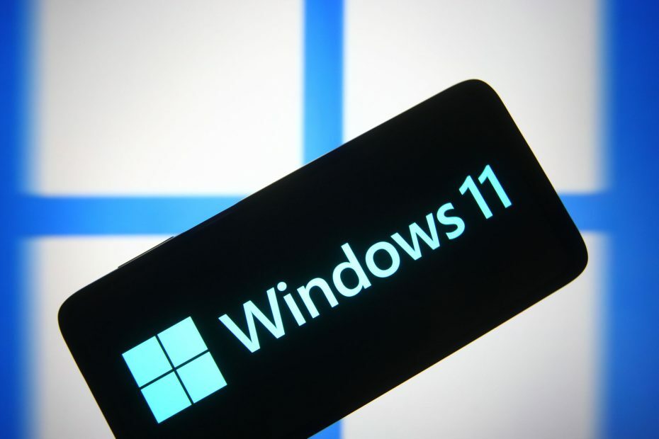 Windows 11: Probleme und Fehler bei der Beta-Version 22000.51