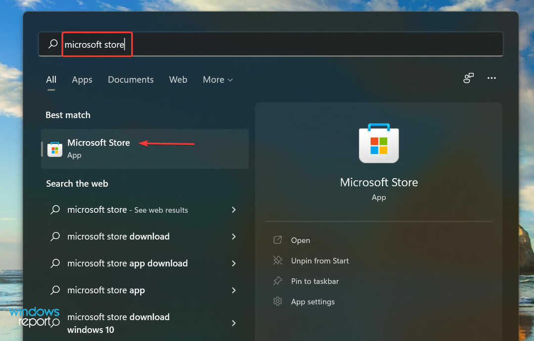 A Microsoft Store a cetlik kijavításához a Windows 11 nem működik