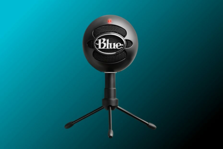 PC'de yaygın Blue Snowball mikrofon sorunları nasıl düzeltilir?