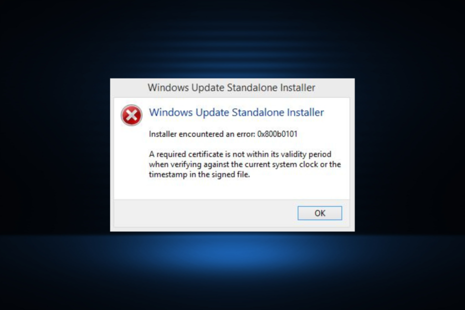 Oprava chyby 0x800b0101 Windows Update